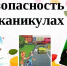 Безопасность школьников на зимних каникулах - Красночетайский район
